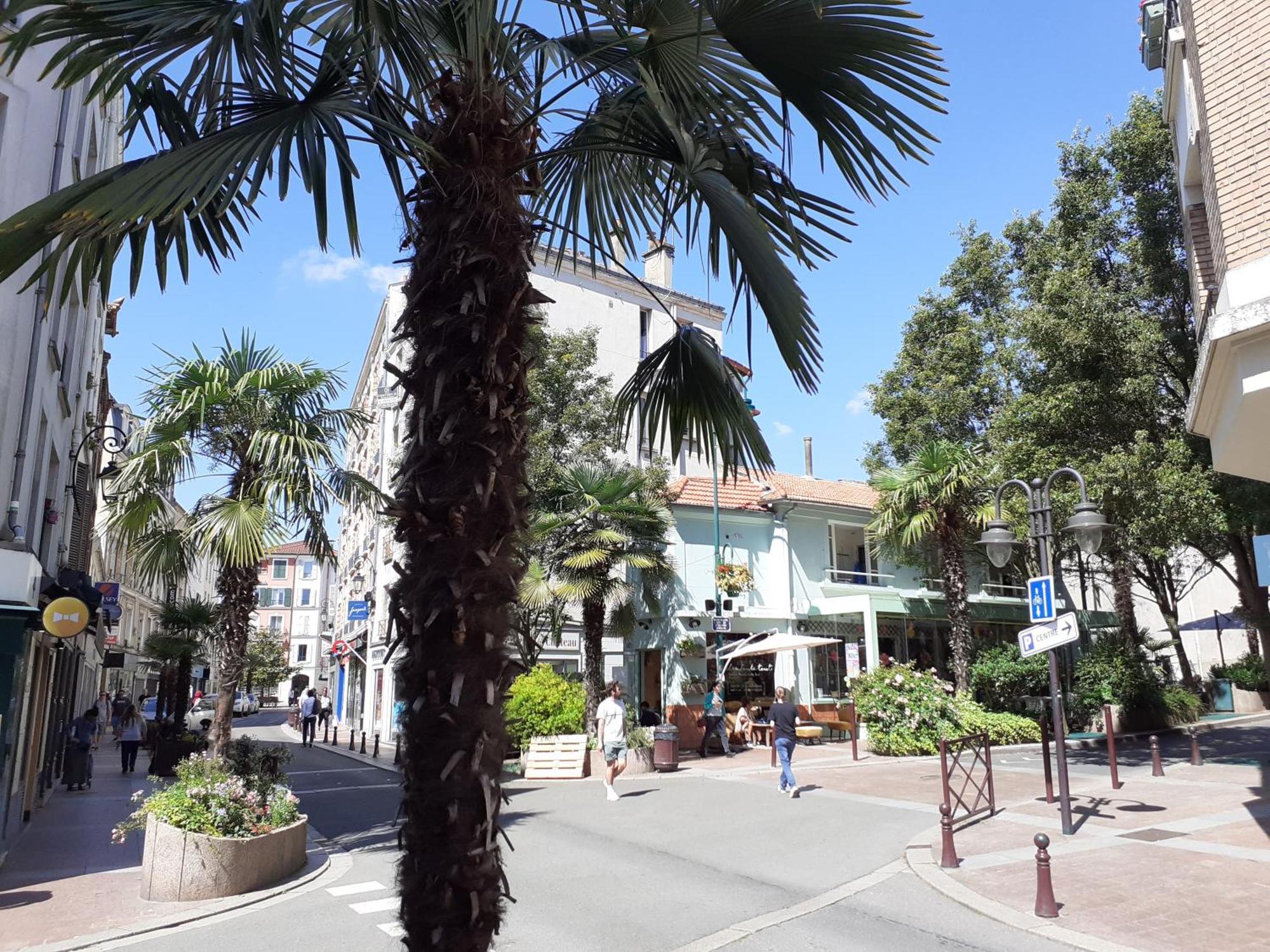 Maison Individuelle Avec Terrasse Nogent Sur Marne エクステリア 写真